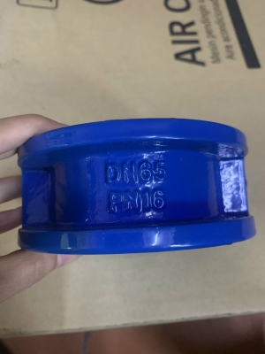 Van Một Chiều Cánh Bướm AUT DN100